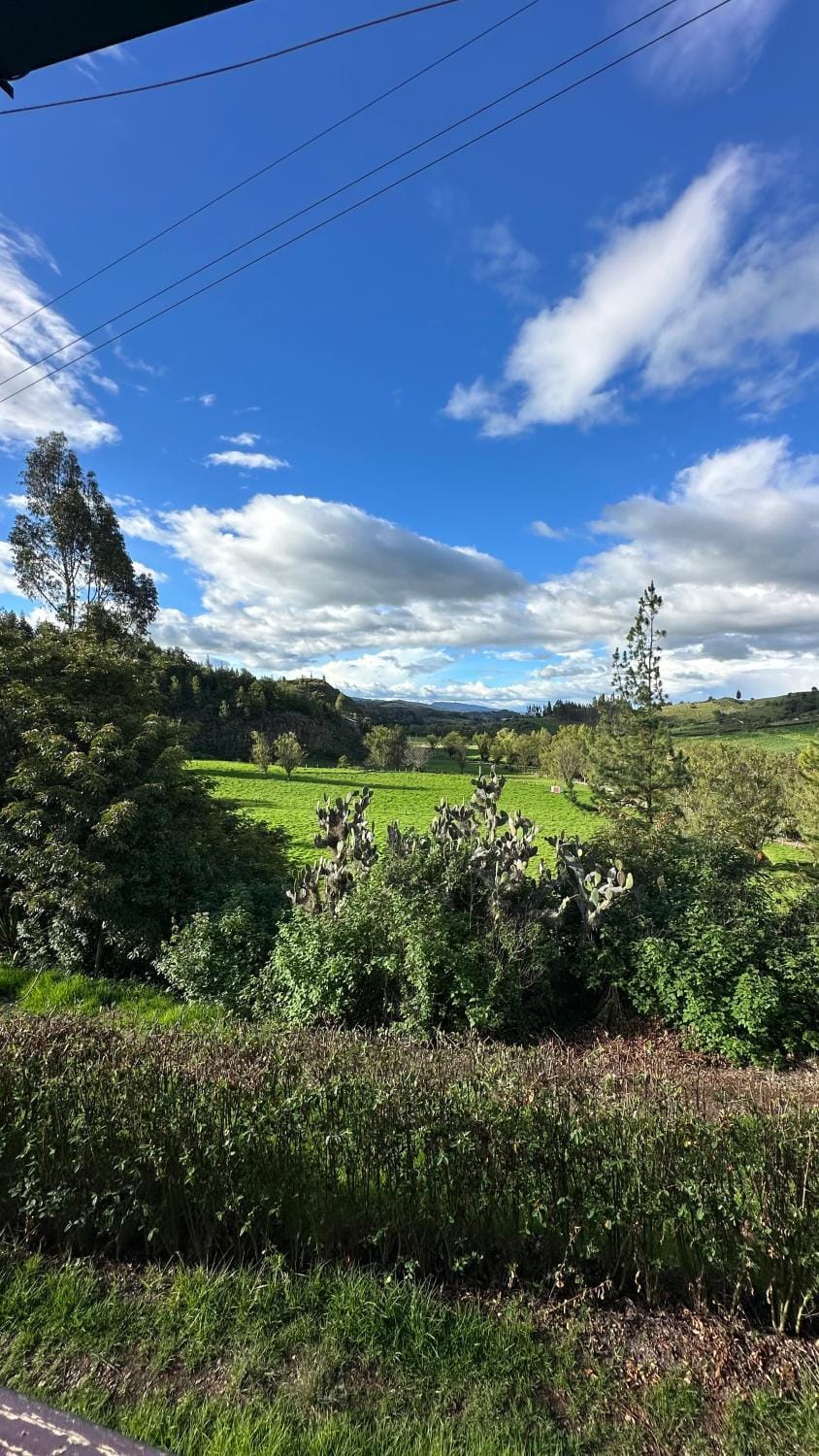 Natural landscape