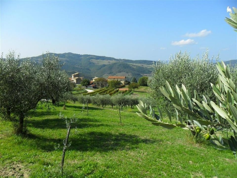 La Cinci Allegra Bed and Breakfast in Umbria