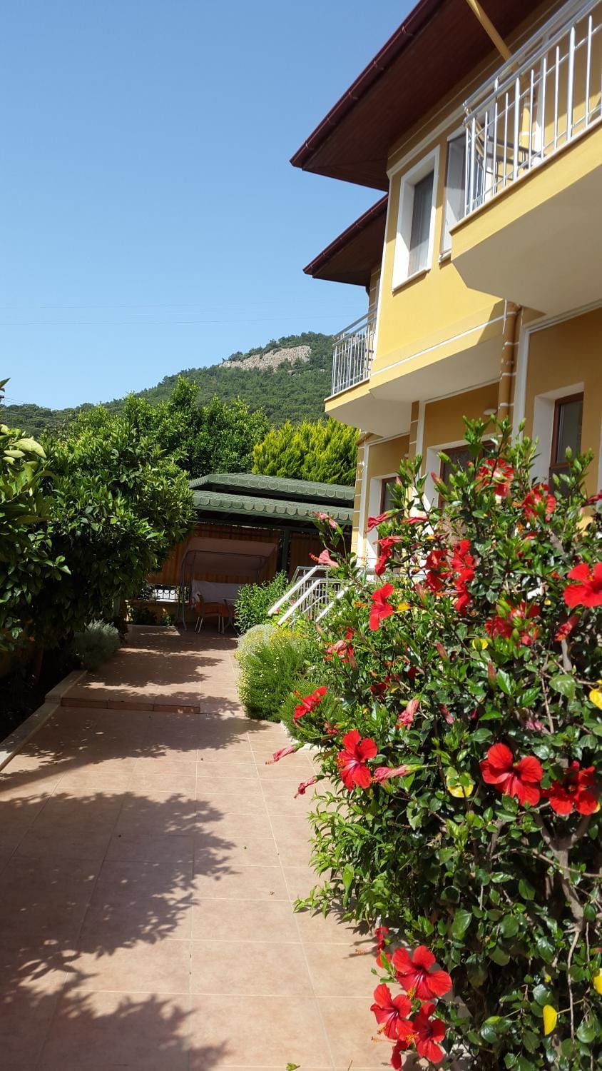 Property building, Facade/entrance, Garden
