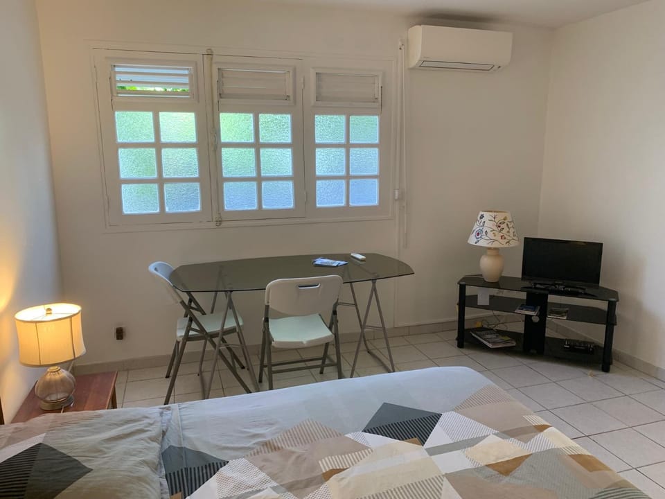 LE STUDIO DU MANGUIER Apartment in Sainte-Luce