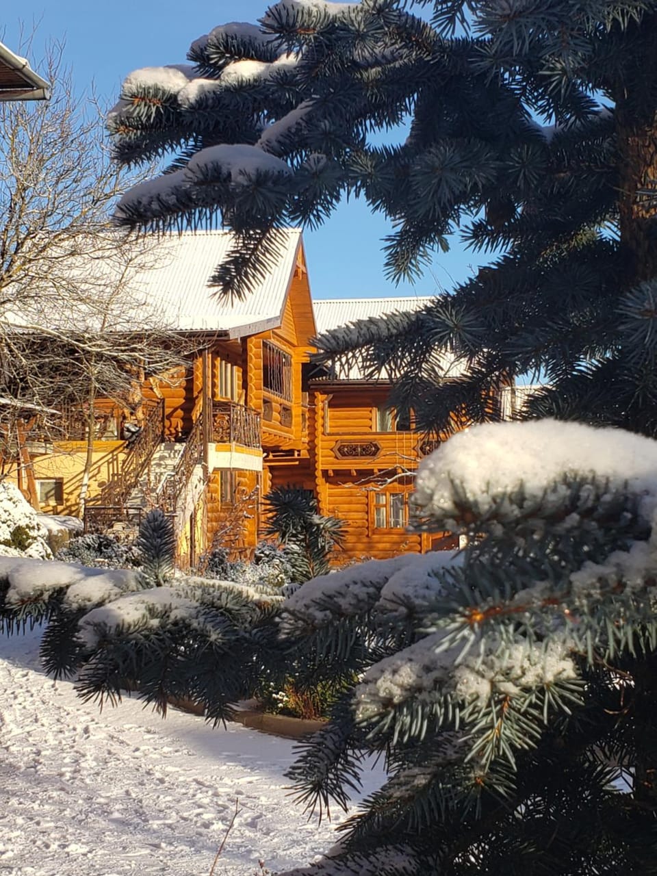 Property building, Winter