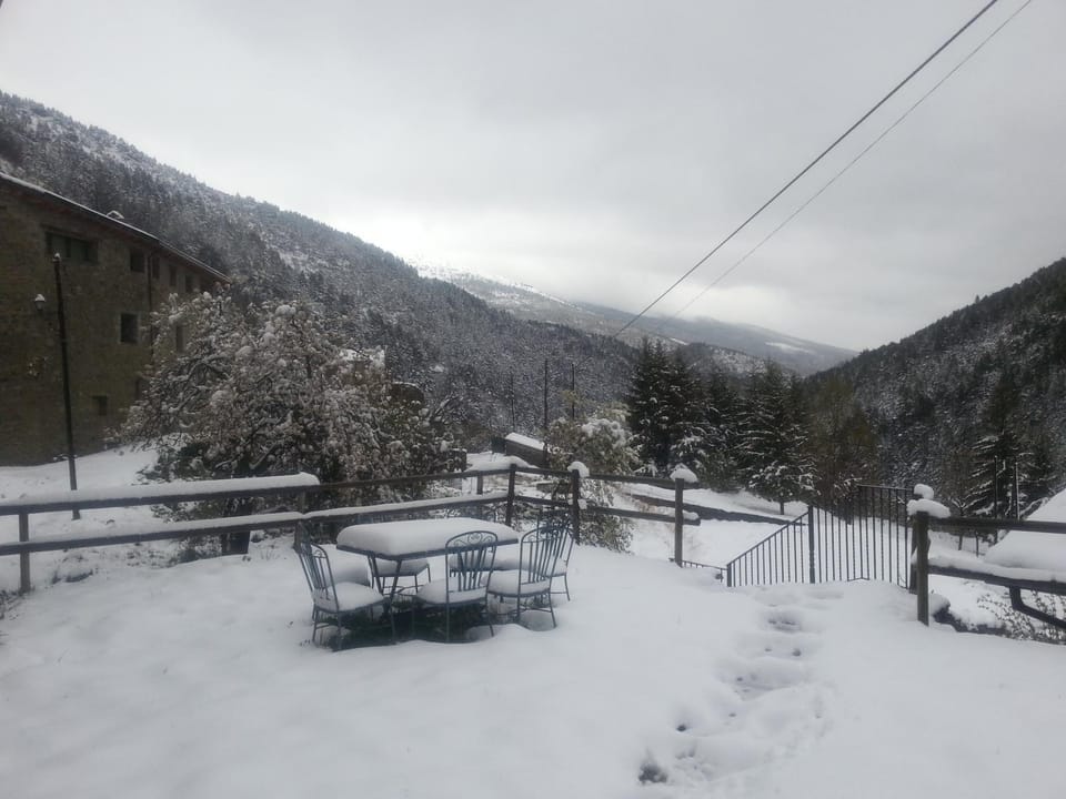 Winter, Garden
