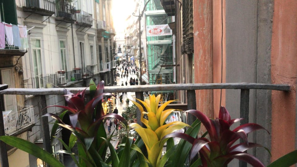 View (from property/room), Decorative detail, City view, Street view