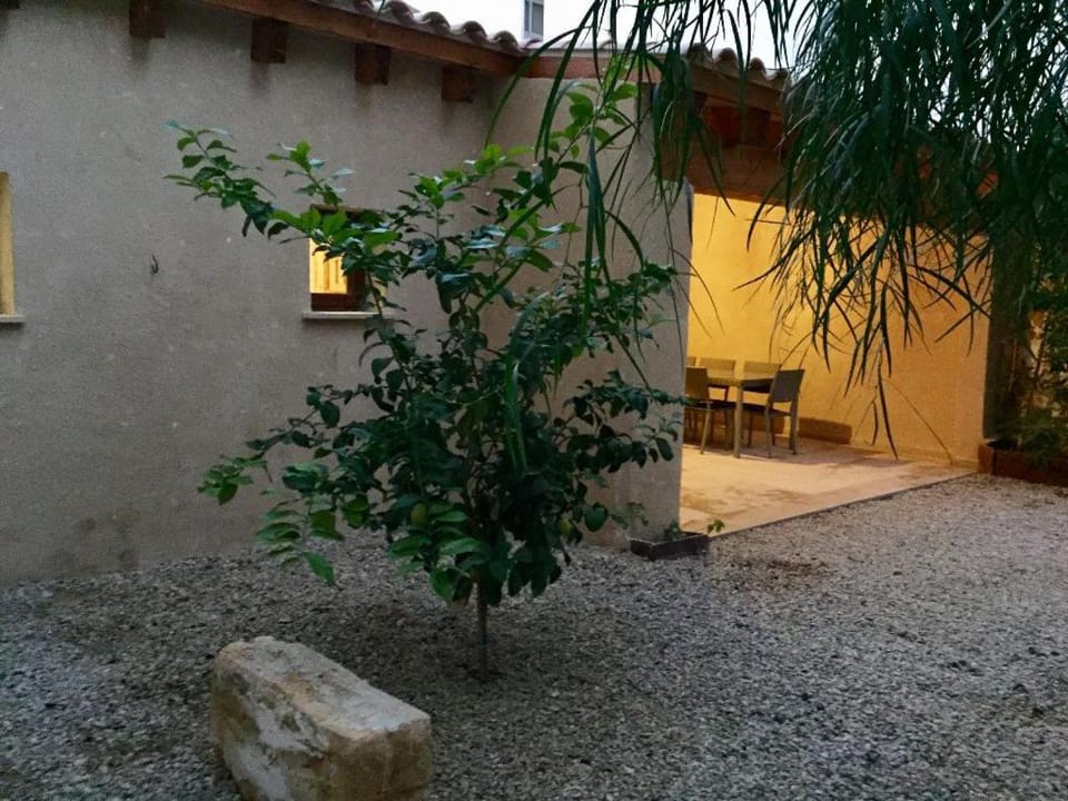 Patio, Garden