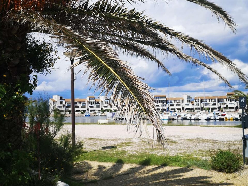 Appartement T2 avec Terrasse et Piscine, Parking Privé, Espace Aquatique - Le Barcarès - FR-1-195-22 Apartment in Le Barcarès