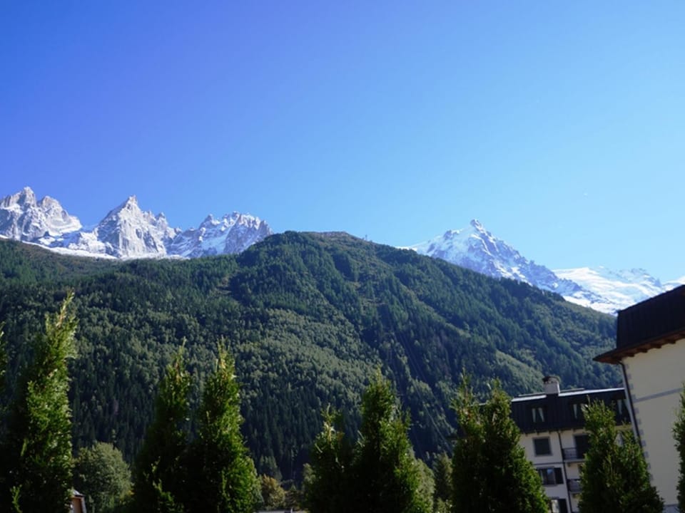 Appartement cosy au centre de Chamonix avec jardin, 2 pièces, bien équipé, accepte animaux - FR-1-507-29 Apartment in Chamonix