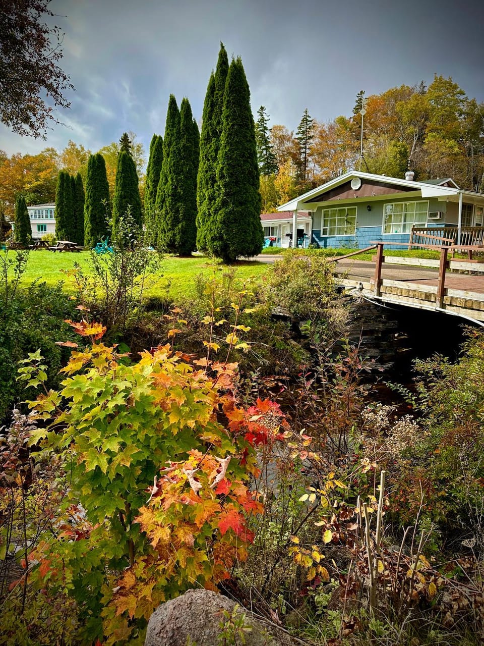 Day, Garden view