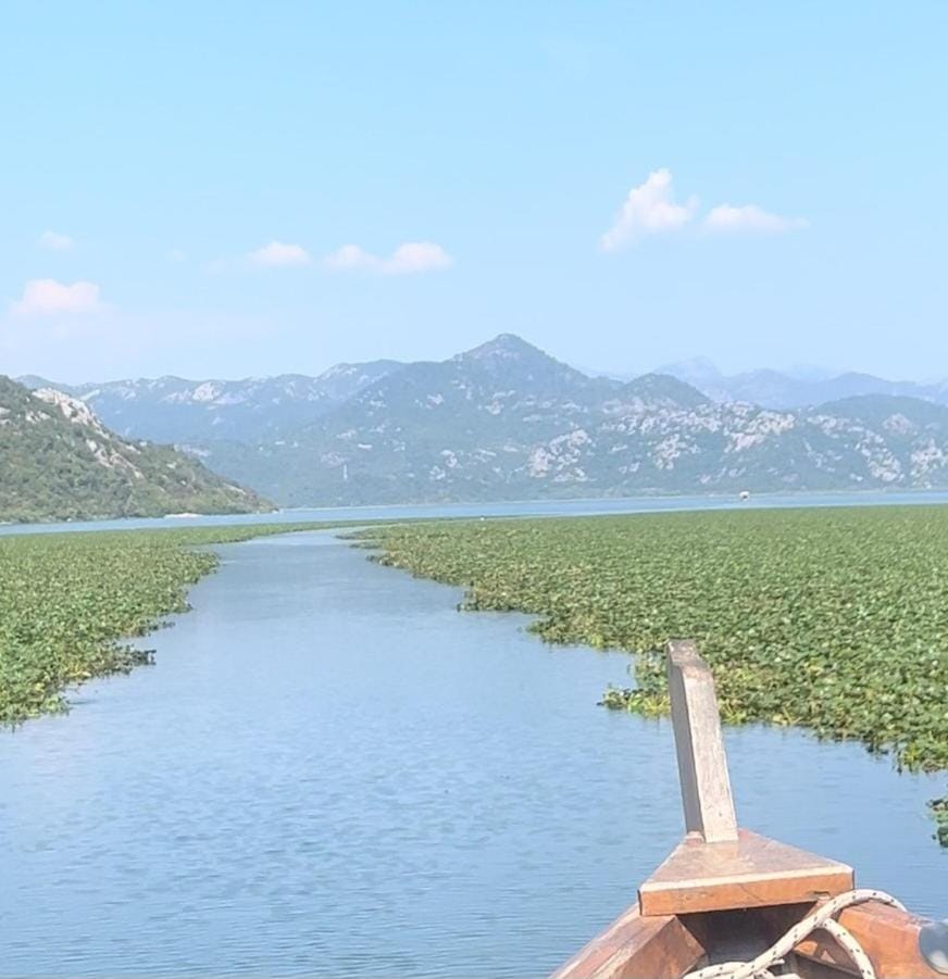 Apartments Stella Apartment in Podgorica Municipality, Montenegro