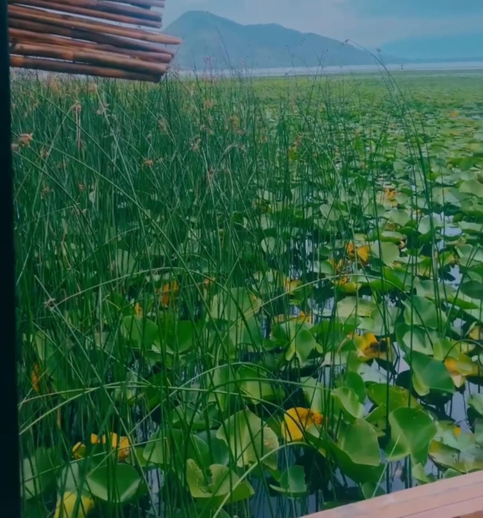 Apartments Stella Apartment in Podgorica Municipality, Montenegro