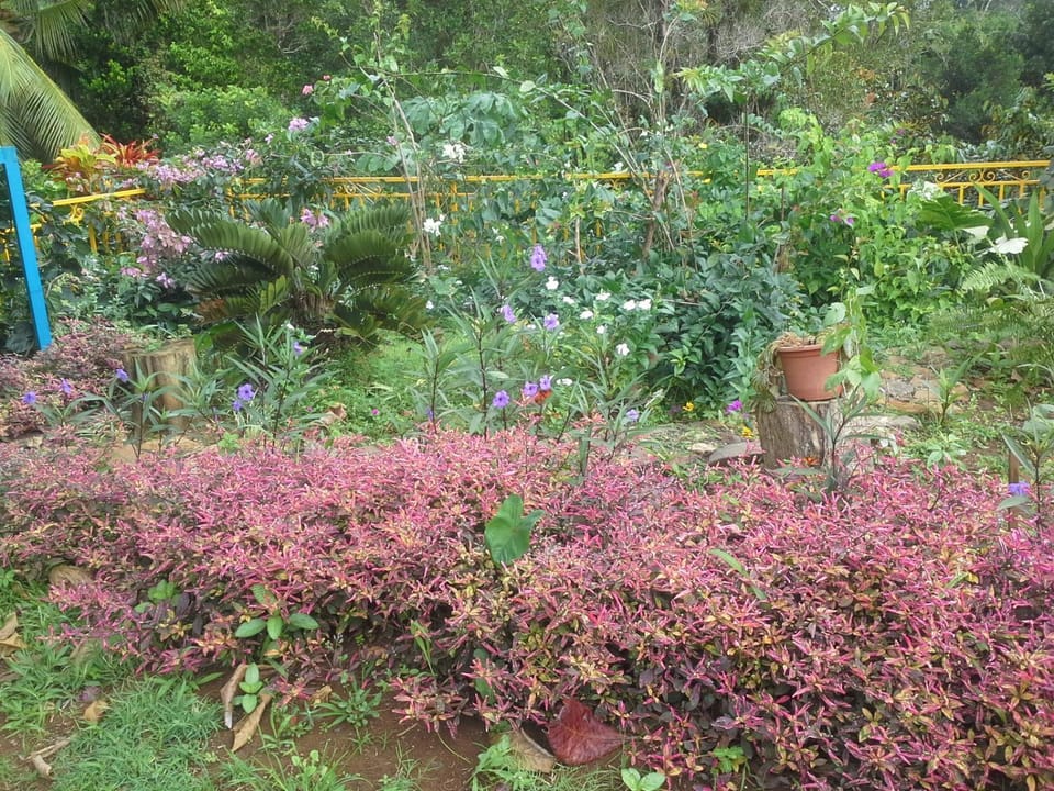 Property building, Garden
