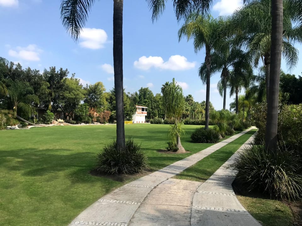 Garden view