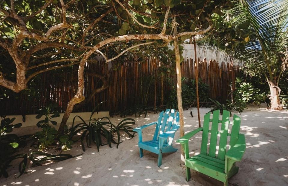 Palms house House in State of Quintana Roo