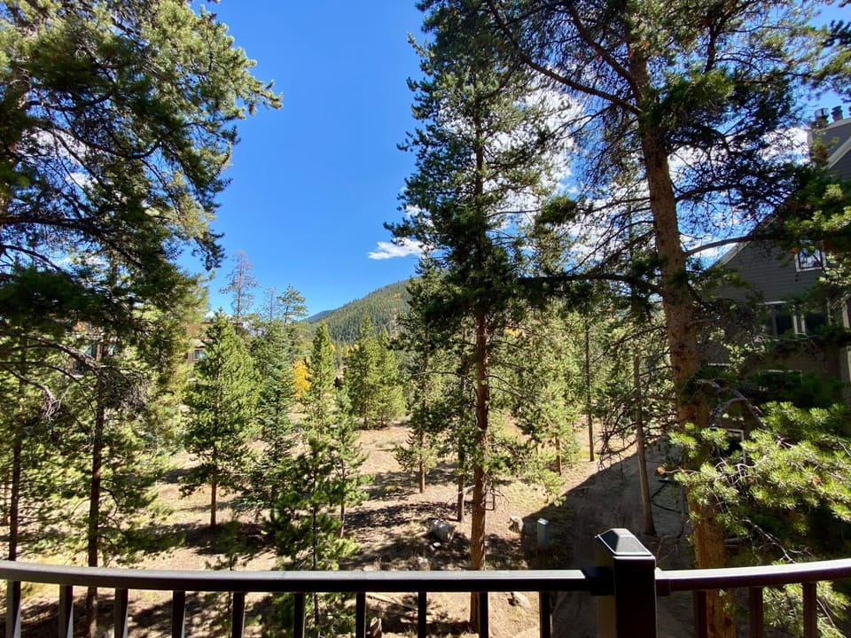 Pines 2045 by SummitCove Lodging House in Keystone