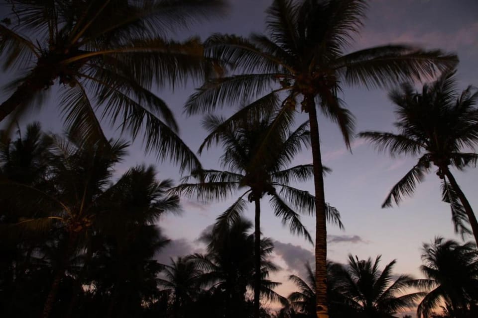 Natural landscape, Sunset