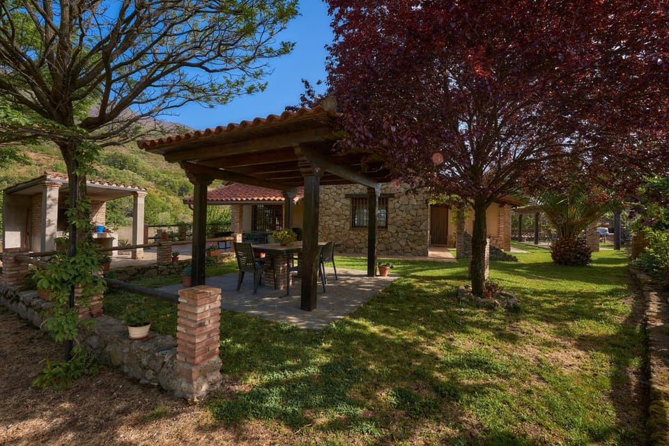 BBQ facilities, Garden