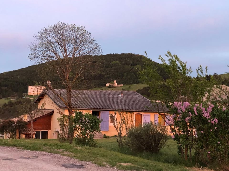 Property building, Garden
