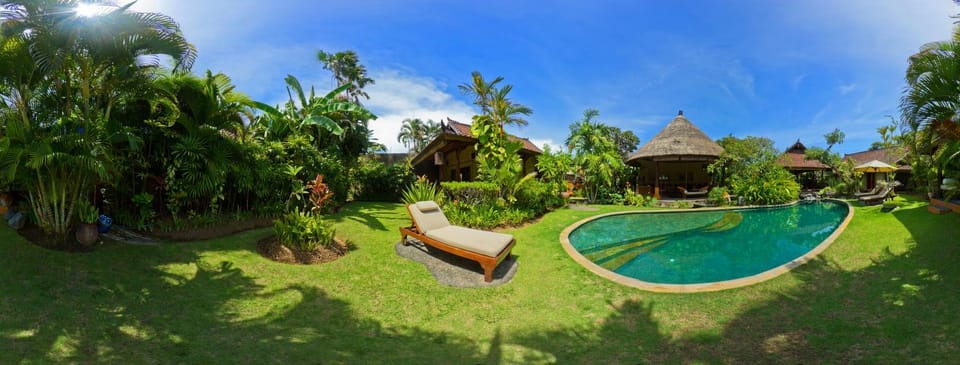 Day, Garden, Garden view, Pool view, Swimming pool, sunbed