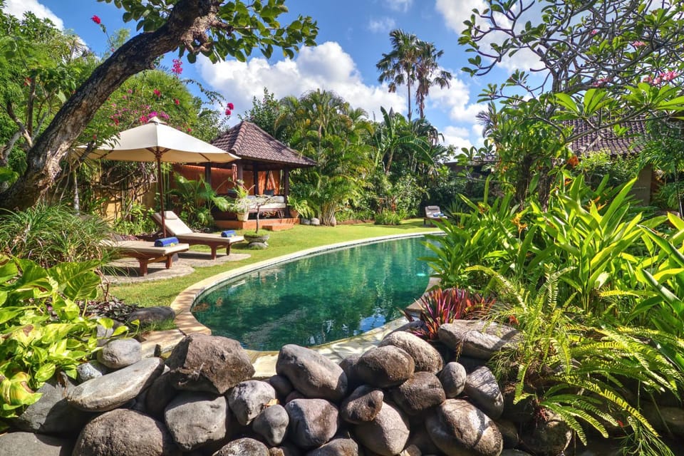 Day, Garden, Garden view, Pool view, Swimming pool, sunbed
