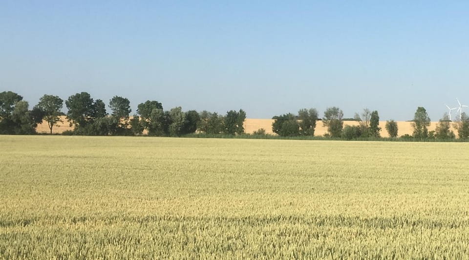 Natural landscape