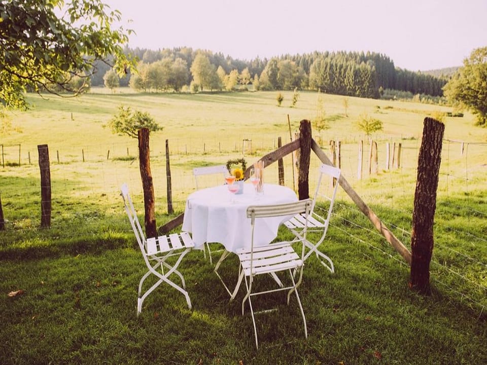Natural landscape, Garden, Dining area, Garden view
