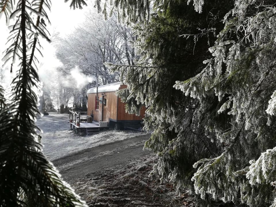 Property building, Winter