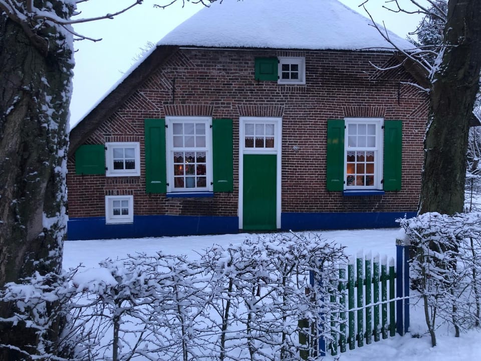 Winter