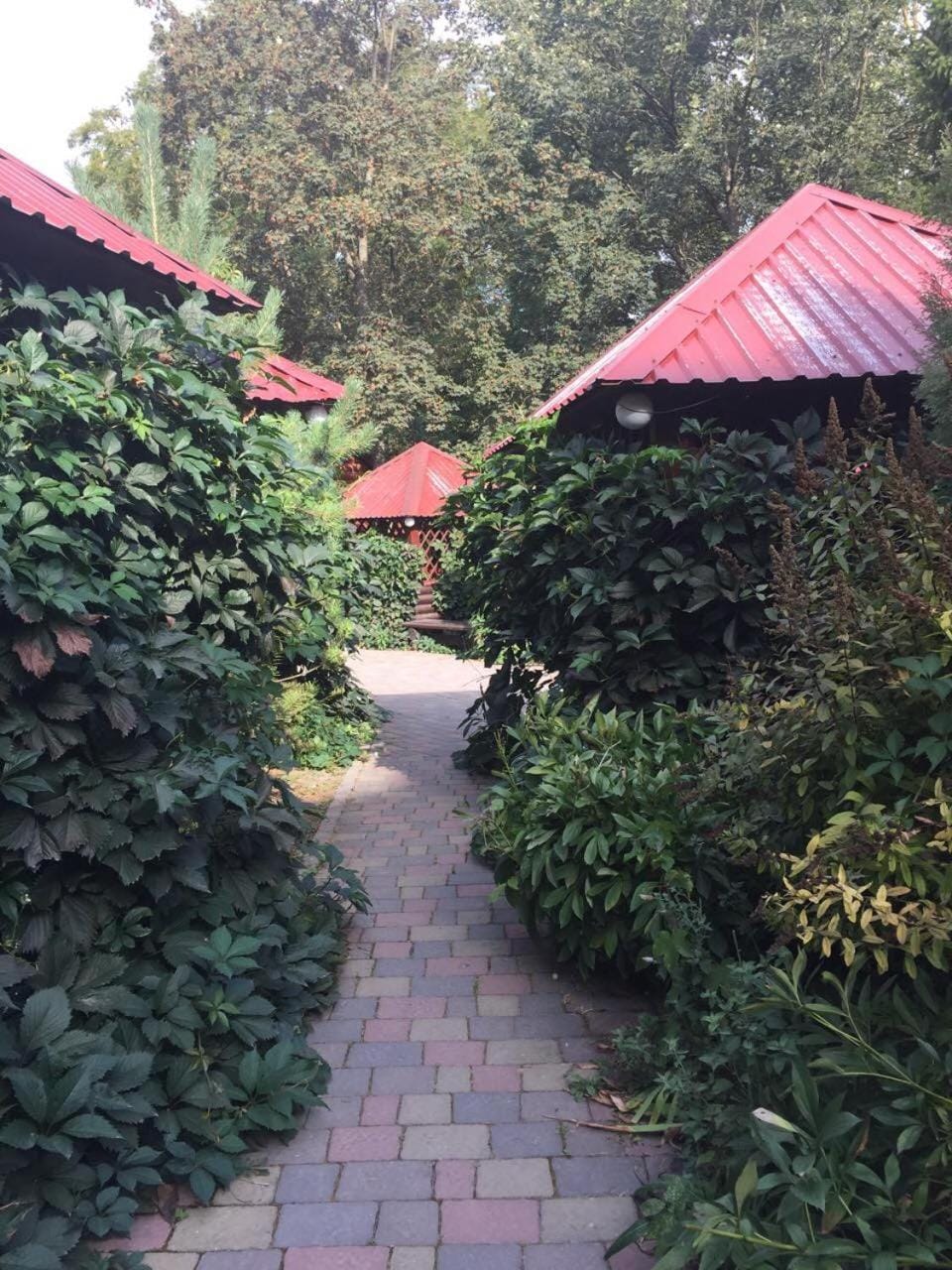 Garden view