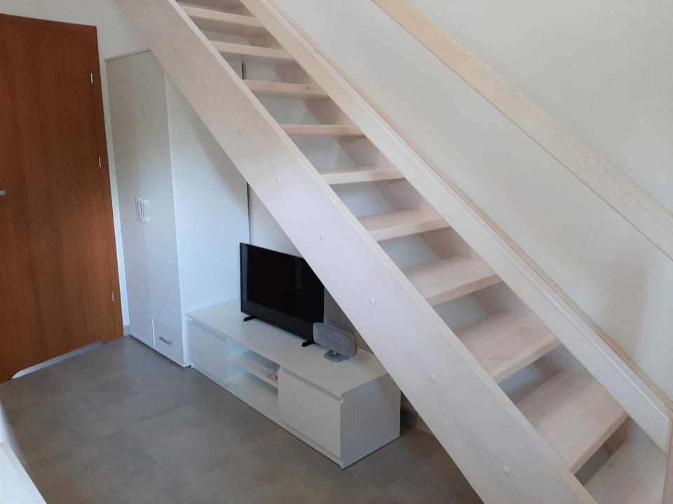 Communal lounge/ TV room, TV and multimedia