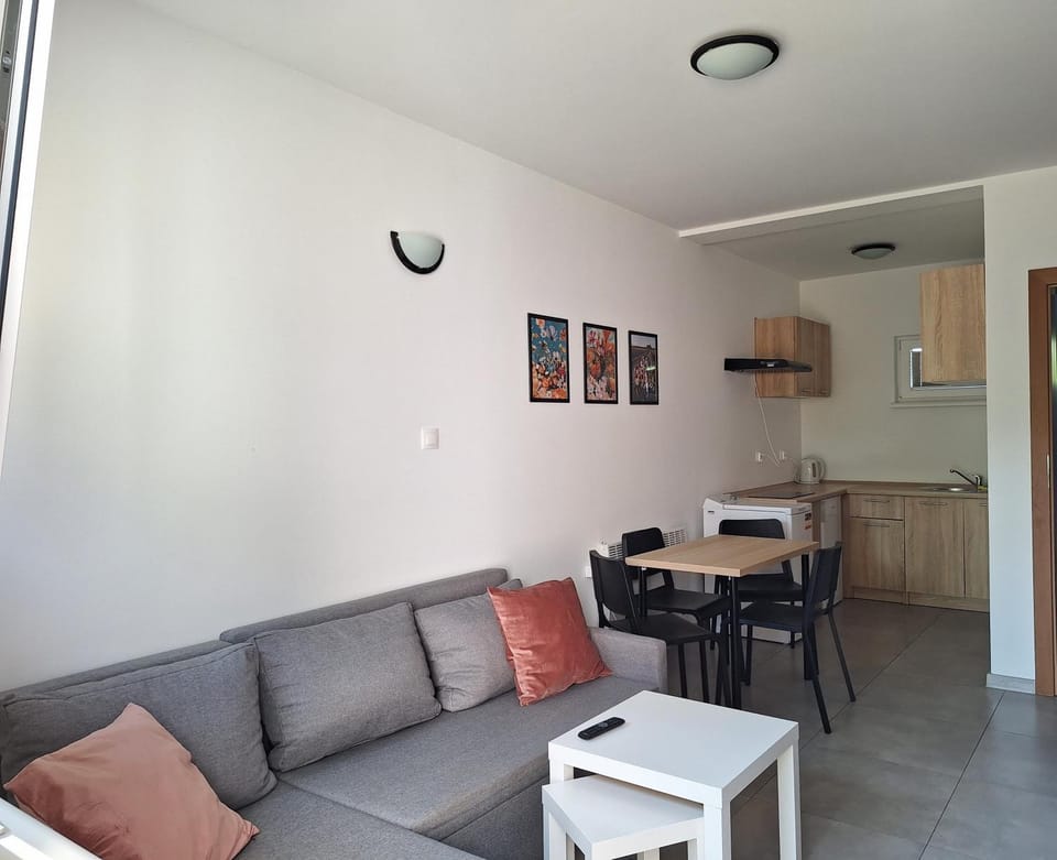 Kitchen or kitchenette, Living room, Seating area, Dining area, oven, stove
