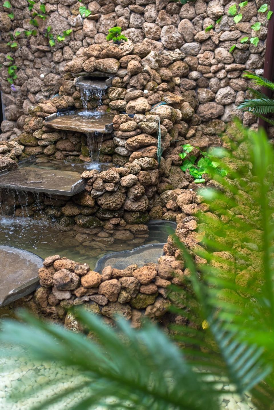 Etobicoke -Стаи за гости Bed and Breakfast in Bulgaria