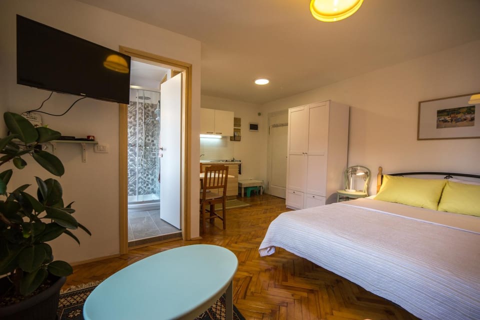 Studio apartment Lux Apartment in Rovinj