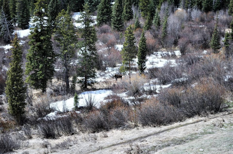 Natural landscape, Winter