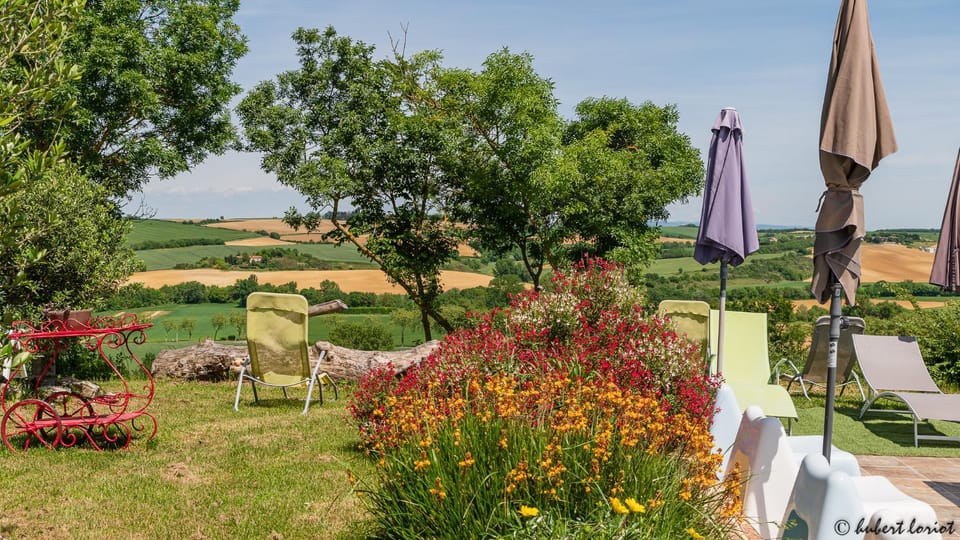 Natural landscape, Garden, Garden, Garden view
