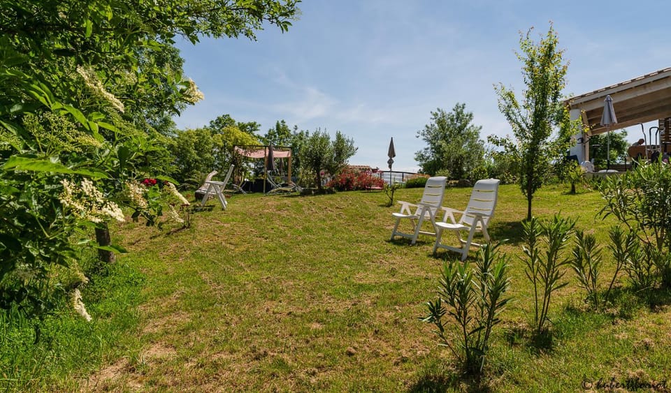 Garden, Garden, Garden view