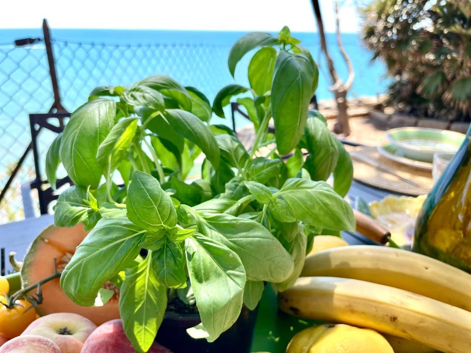 Natural landscape, Sea view