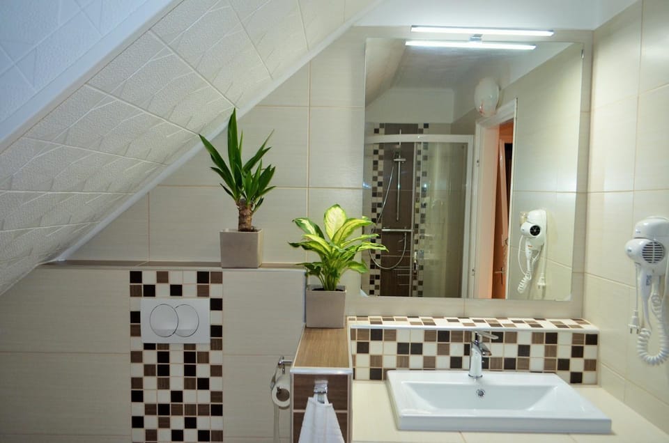 Shower, Toilet, Bathroom, Bathroom