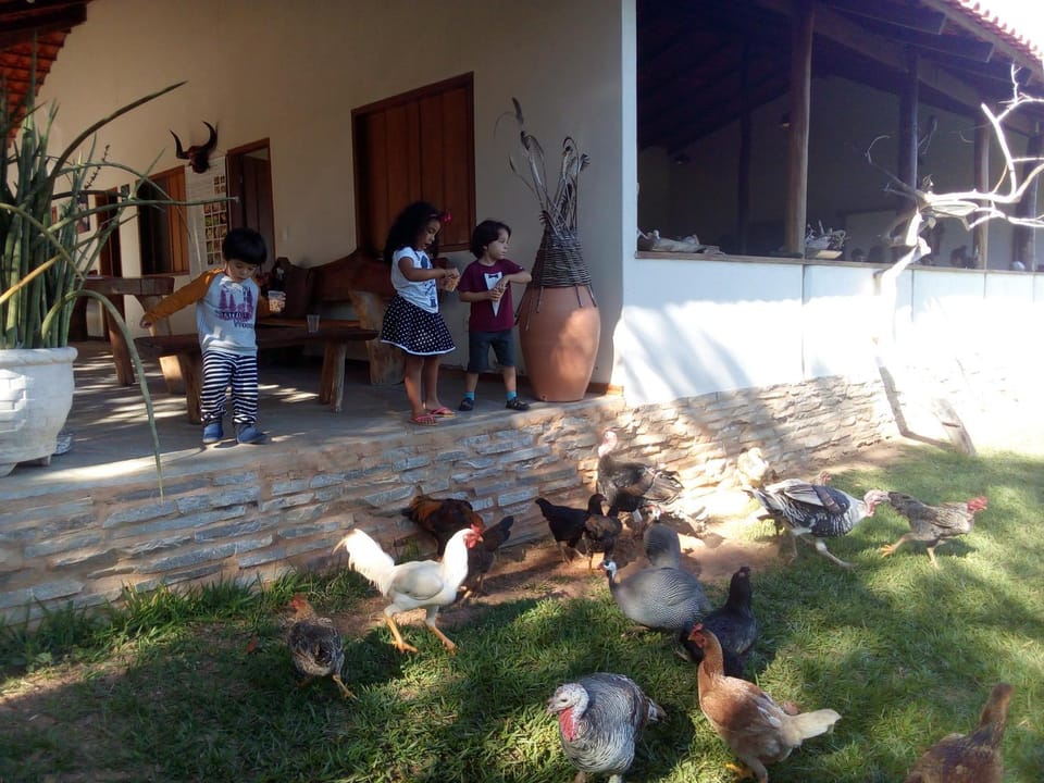 Animals, children, Family