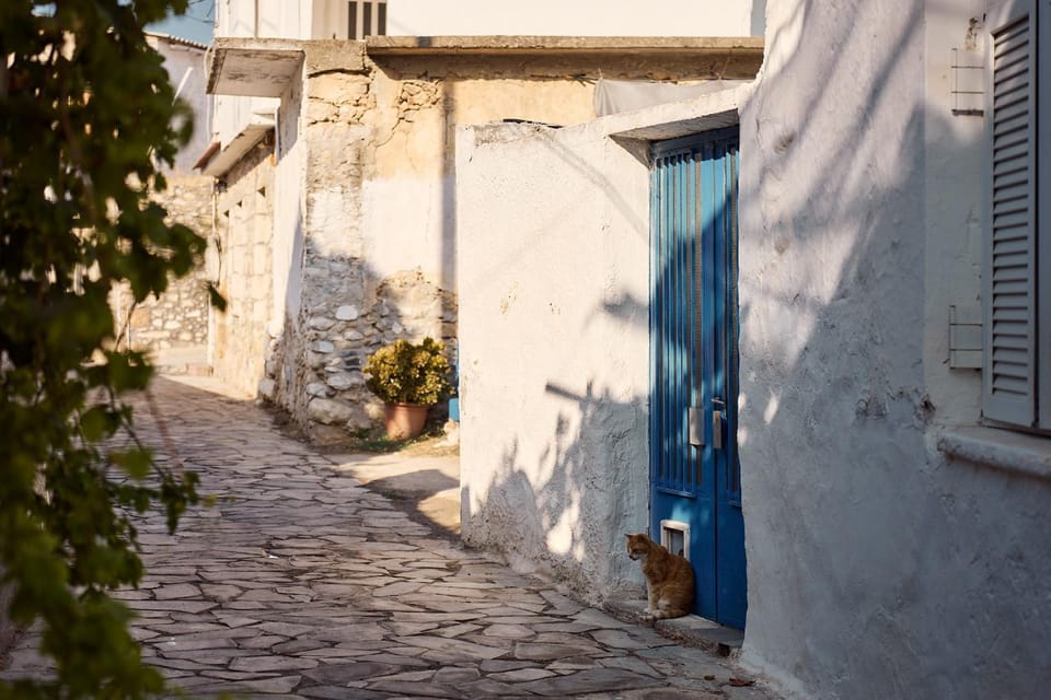 Neighbourhood, Street view