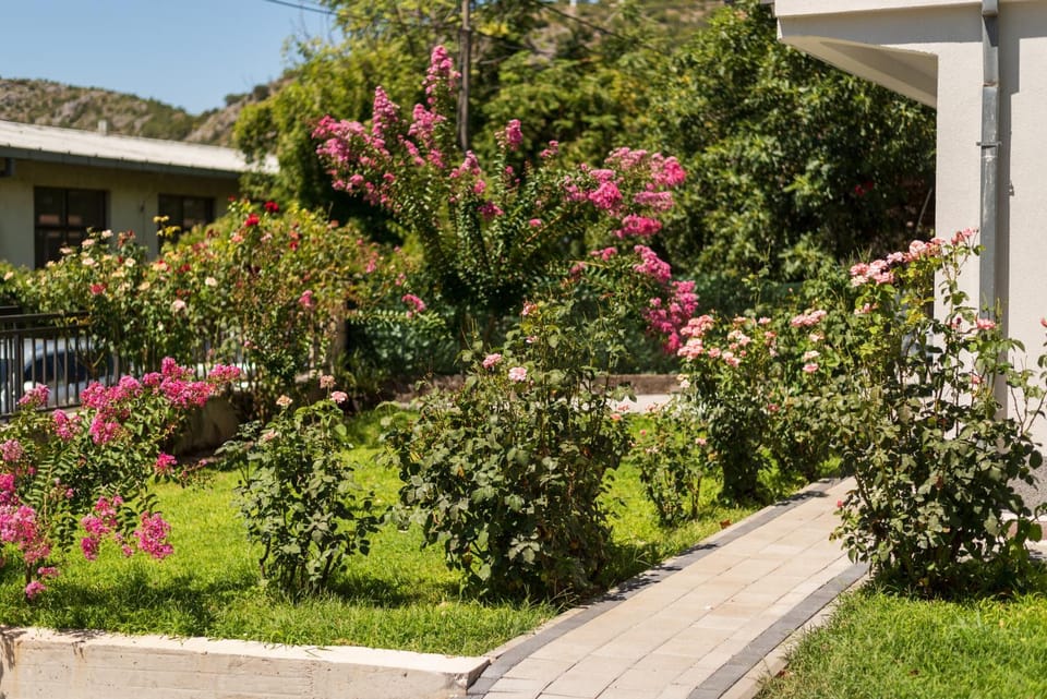 Patio, Day, Summer, Garden, Garden, Garden view, Inner courtyard view