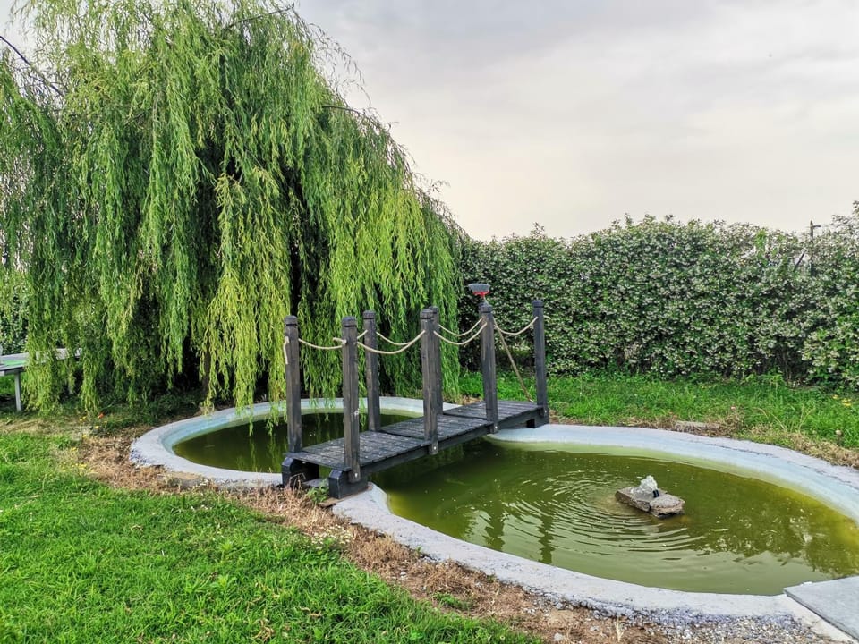 B&B LA DEA LUMACA Bed and Breakfast in Piedmont