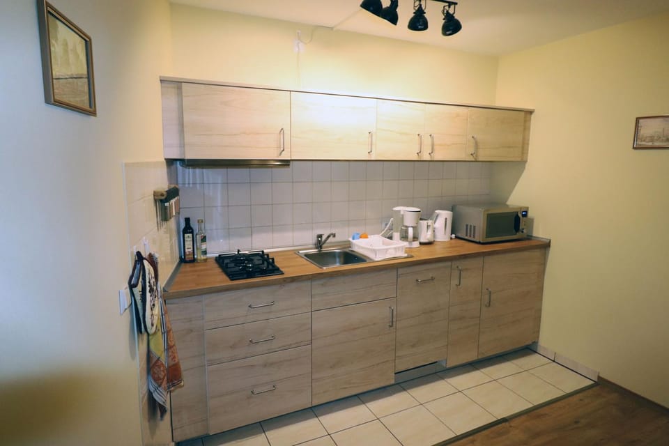Kitchen or kitchenette, kitchen