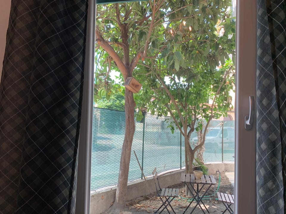 Garden view