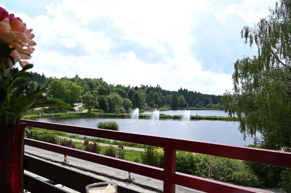 Balcony/Terrace, Lake view