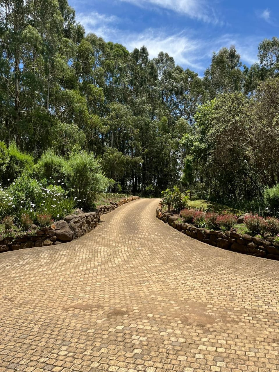 The Courtyard at La Loggia Vacation rental in KwaZulu-Natal