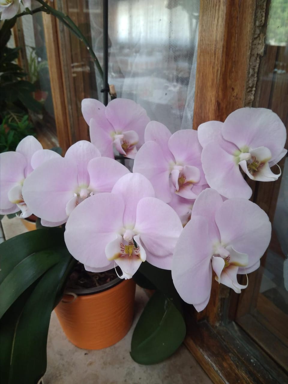 Gostišče Oddih Bed and Breakfast in Friuli-Venezia Giulia