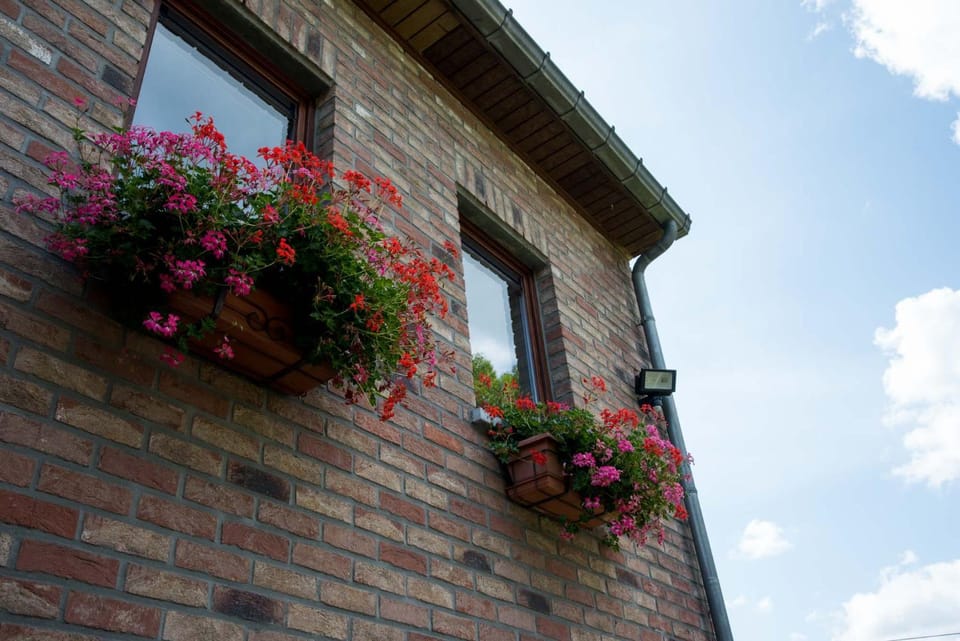 Gîte A La Violette House in Trois-Ponts