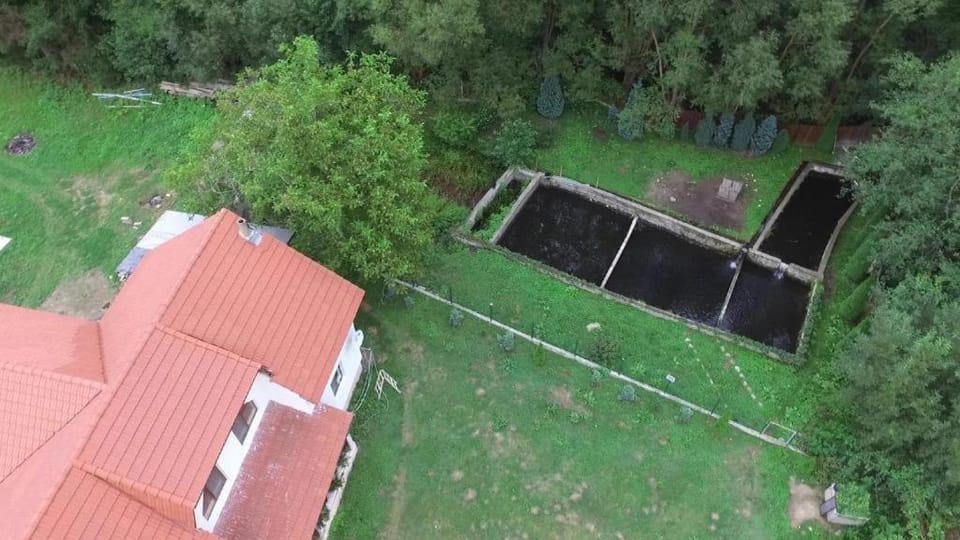 La pastravaria Cerna Bed and Breakfast in Serbia