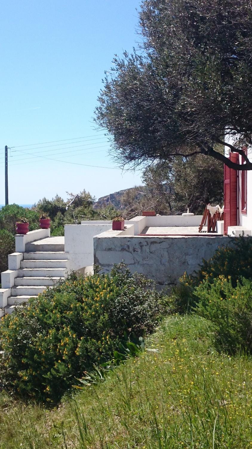Property building, Garden, Garden