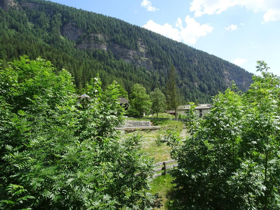Other, Mountain view