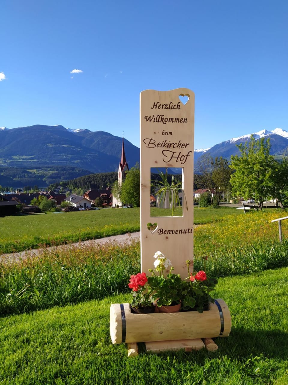 Natural landscape, Summer